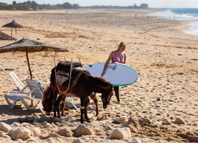 mouja wave surf day trip essaouira best experience in essaouira 8.jpeg